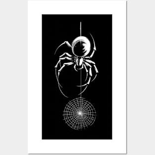 Spider Posters and Art